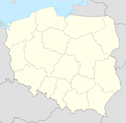 Калиш (Польша)