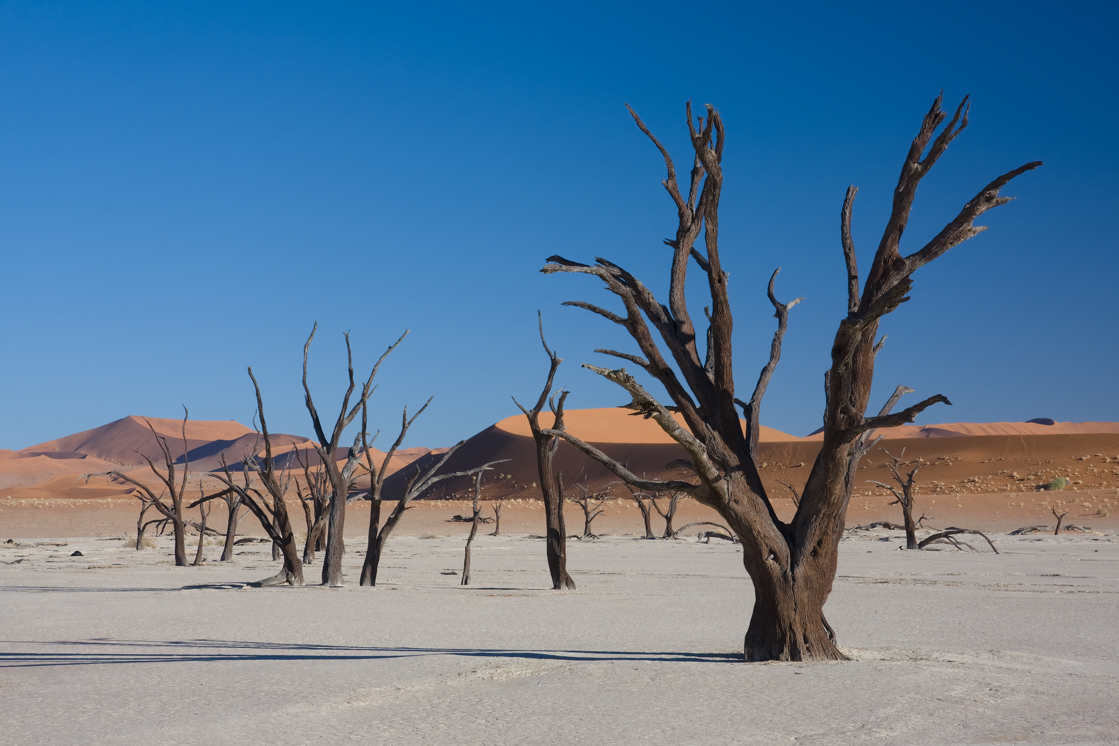 Namib-Naukluft Park, Namib Desert, Namibia, Africa загрузить